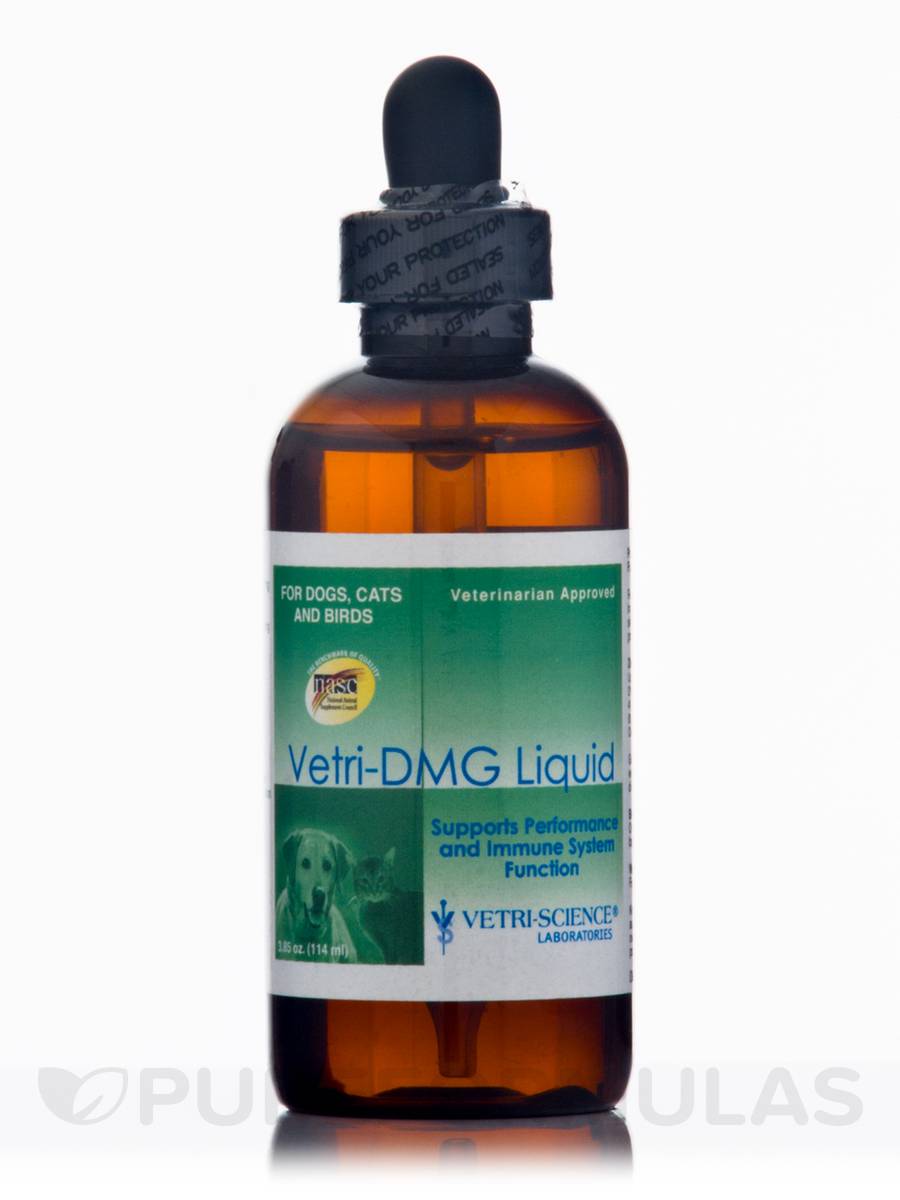 What Is Dmg Supplement Used For
